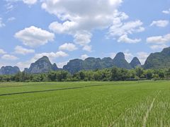 -明仕田园
