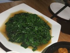 -兴圆苑
