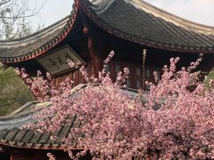 -采石矶景区