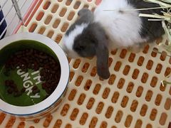 -龙猫仔乐园(惠福东路店)