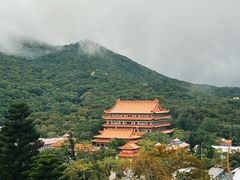 -宝莲禅寺