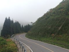 -大围山国家森林公园