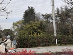 -昆山城市生态森林公园