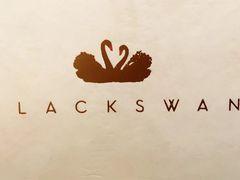 -BLACKSWAN黑天鹅(环球店)