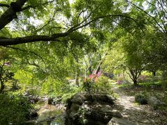 -上海滨江森林公园