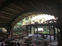 -海南槟榔谷黎苗文化旅游区