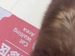-御宝贝24h宠物医院·转诊中心·CT核磁血透中心(厦门总院)