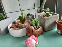 -蜜蜂小象·榴莲千层蛋糕(时代汇11栋店)