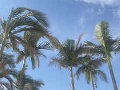 -西昌邛海湿地