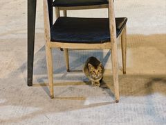 -粮心小农·大头虾亲子生态园(长发店)