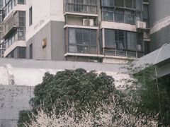 -小巨场咖啡