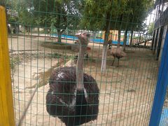 -武汉紫薇都市田园