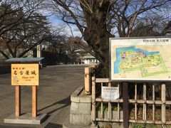 -名古屋城