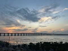 -宝安西湾红树林湿地公园