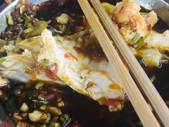 -老杨砂锅鱼庄