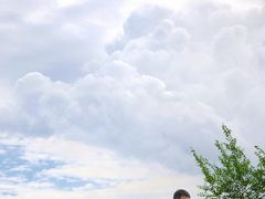 -丁香湖公园
