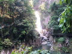 -龙湾潭国家森林公园