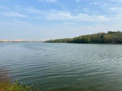 -盘龙城国家考古遗址公园