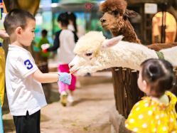 -宝燕乐园(闵行旗舰店)