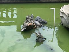 -五里桥文化公园-西侧停车场