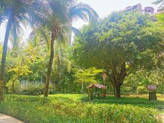 -三亚湾海居铂尔曼度假酒店