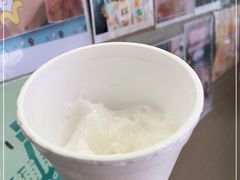 -洪馨椰子