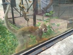 -石家庄市动物园