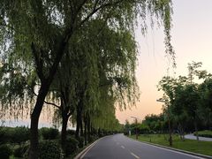 -洨河生态公园