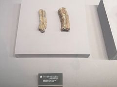 -青岛市博物馆