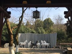 -白马涧龙池景区