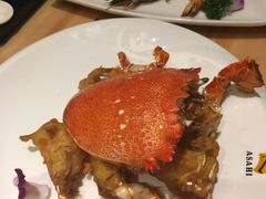 -割烹旭日本料理(龙湖狮山天街店)