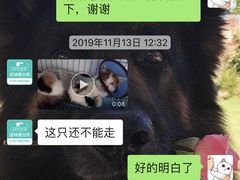 -安安宠物医院(佳林路分院)