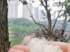 -重庆彩云湖湿地公园