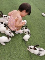 -萌宠亲子动物乐园(槐房万达店)