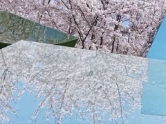 -龙美术馆(西岸馆)