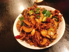 -三酉星·枫·山風与野菜(上海总店)