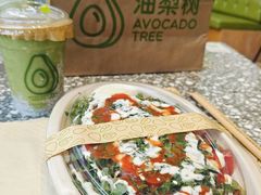 -油梨树AVOCADO TREE(望京店)