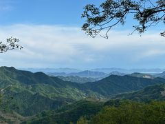 -六里坪国家森林公园