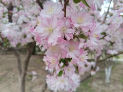 -朝阳公园