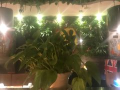 -寂寞的豆芽(龙泽路店)