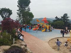 -铁山坪森林公园