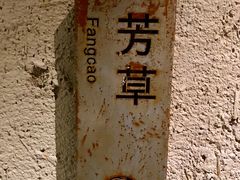 -看见远方·莫干遥远的山民宿
