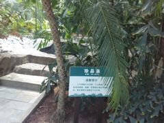 -龙达温泉生态城