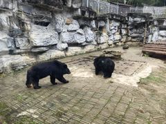 -黔灵山公园