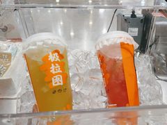 -极拉图·现制冰淇淋(大卫城店)