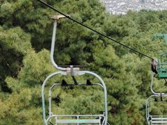 -苍山感通索道