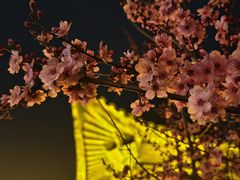 -前童古镇