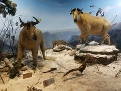 -陕西自然博物馆