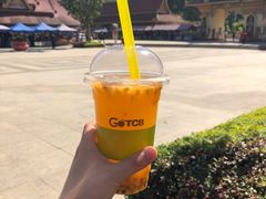 -西双版纳勐泐文化旅游区