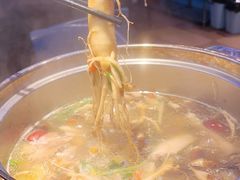 -千岛蚝高压锅生蚝·人参火锅(白云万达店)